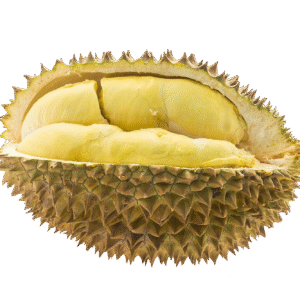 Durian 1